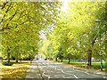 Hartfield Road, towards village