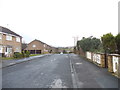 Glenrose Drive - viewed from Sycamore Avenue