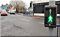 "PUFFIN" crossing, Coleraine (2)