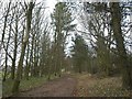 Footpath near Norheads Farm