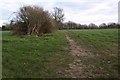 Footpath near Norheads Farm