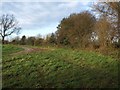 Footpath beside Long Coppice