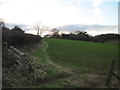 Over  field  to  Stone  Flint  Wood