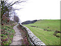 Causeway near Bollington