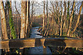 The view downstream from a bridge over Coney Gut near the Homebase store