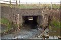 Coney Gut passing under the A39, Eastern Avenue, as seen from upstream