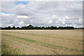 Farmland and woodland