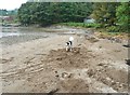 Building sand castles