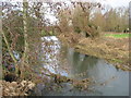 The River Avon (Sherston Branch)