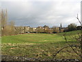 Water meadows in Malmesbury