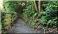 J4681 : Path, Crawfordsburn Country Park (3) by Albert Bridge