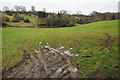 Valley near Combend Manor