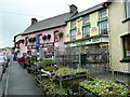 Pub and garden shop