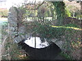 A stile and bridge combined over the Parish Brook Nailsea