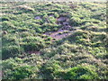 The remains of the Quarry floor  tiles from Totty