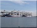 SU3812 : Container Port, Southampton by Caroline Maynard