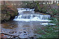 Torrance Linn, Calderglen Country Park