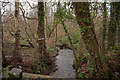 The view downstream from a bridge on Coney Gut near Maidenford