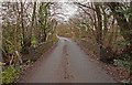 A bridge over Coney Gut near Maidenford