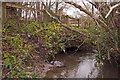 A bridge over Coney Gut near Waytown as seen from downstream