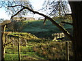 Footbridge at Dunnockshaw Farm