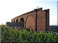 Railway viaduct, Queen Alexandra Bridge