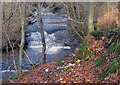 Roskill Burn near Easter Suddie