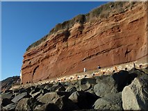 SY1286 : Cliffs at Sidmouth by Derek Harper