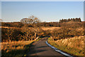 Parkgate Bridge