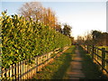 Church Walk, Upton