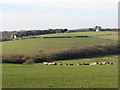 SS9971 : Fields near Llanmihangel by Gareth James