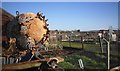 Allotments and Dead Sunflower