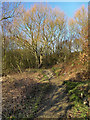 Path near Flood Storage Ponds