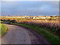 The lane from Carn Gloose to St. Just