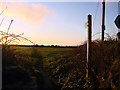 Footpath to Bollowal Farm