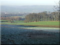 Pasture, Arthington Bank