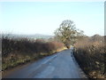 Black Hill Road towards Arthington