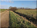 Bridleway from New Farm to New Farm