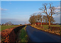 Minor Road near Knockendale Farm