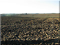 Undulating fields west of Easton