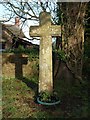 Cross, Sampford Courtenay