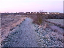 TR0062 : Frosty footpath at sunrise, Oare Creek by pam fray