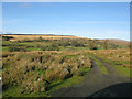 Track to Neuadd from the A4059