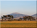 Farmland near Mawcarse