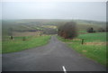 Farm track to Stancombe Farm