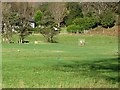 NR9450 : Lochranza golf course by Richard Webb