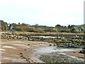 NX8453 : Rockcliffe beach at low tide by Ann Cook