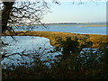 SU7801 : Looking across Horse Pond in Chichester Channel by Shazz