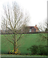 View towards Okenhill Hall from the B1120 road