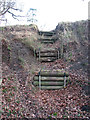 Giant steps beside path to Rendham Barnes